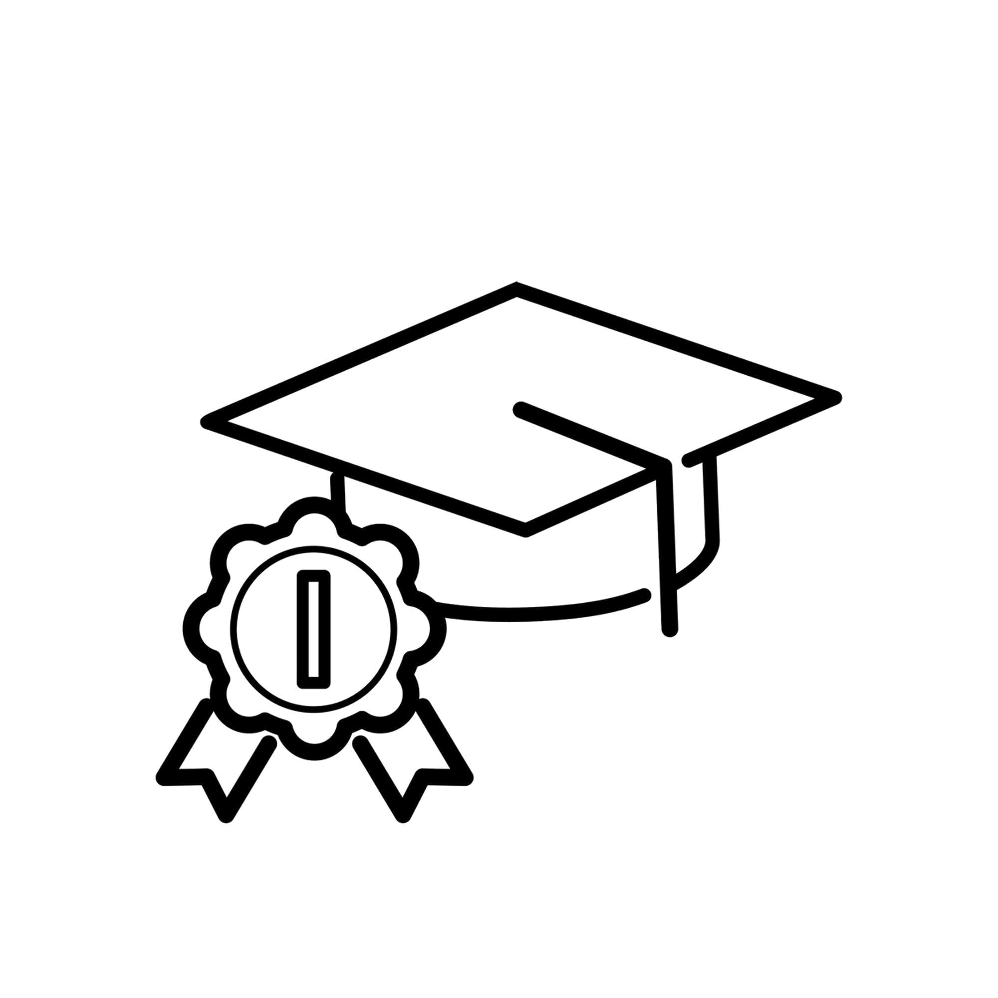 300+ Programs Offered